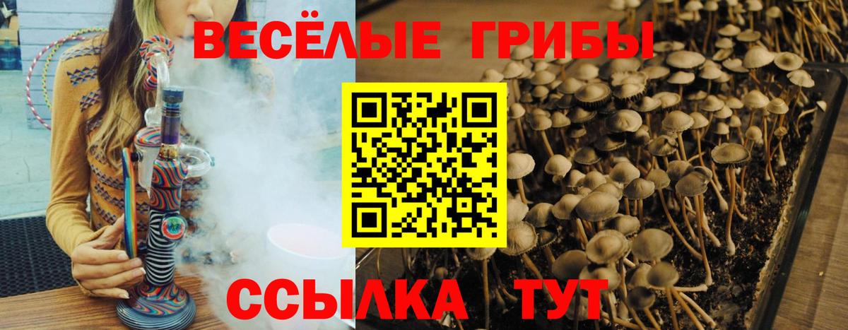 Галлюциногенные грибы Magic Shrooms  Галлюциногенные грибы Psilocybine cubensis  Ставрополь  Вход с VPN 