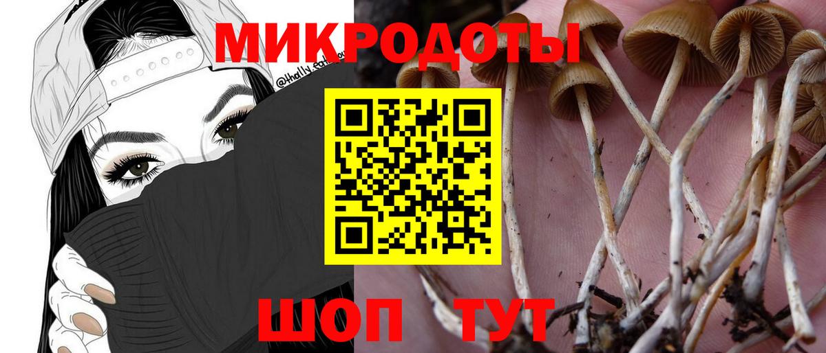 Галлюциногенные грибы мухоморы Ставрополь